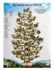 The Family Tree of Jesus - White