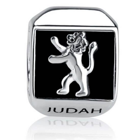 Lion of Judah Silver Charm