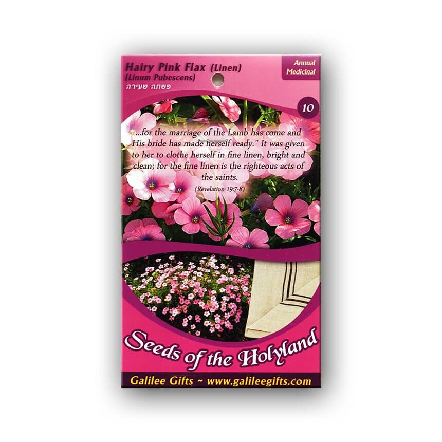 Hairy Pink Flax seeds