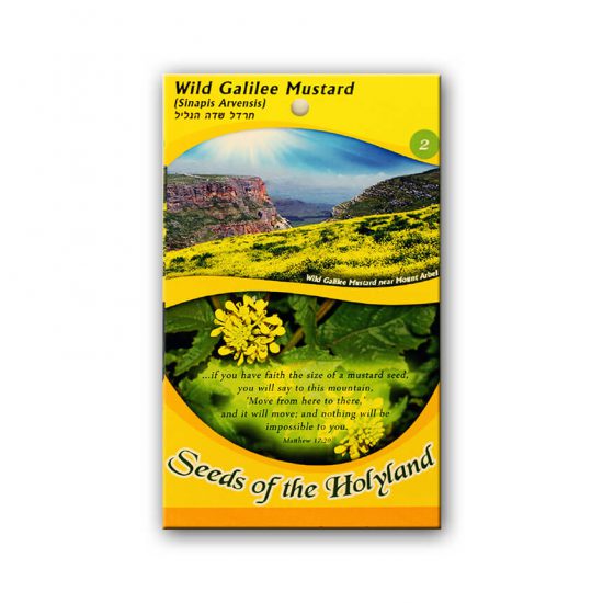 Seeds of the Holyland. Wild Galilee Mustard seeds
