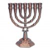 Copper Plated Menorah with Star of David