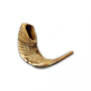 small shofar - Yardenit