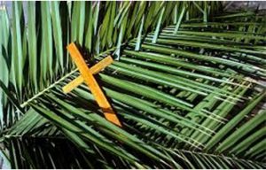 cross and palm