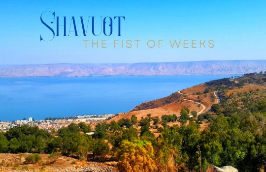 Shavuot the feast of weeks